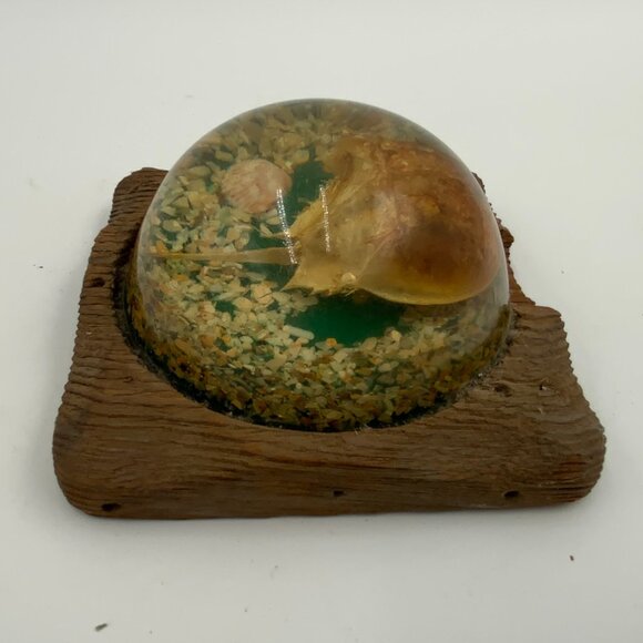 Vintage Domed Paperweight Horseshoe Crab & Shells Cedar Wooden Base - Picture 5 of 7